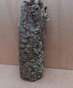 Medium Cork Tube - 40-60cm - 7