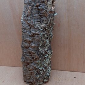Medium Cork Tube - 40-60cm - 7