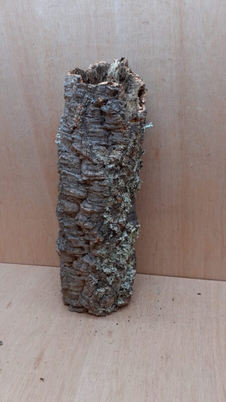 Medium Cork Tube - 40-60cm - 7