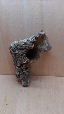 Medium Cork Tube - 40-60cm - 8