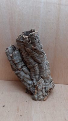 Medium Cork Tube - 40-60cm - 12