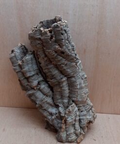 Medium Cork Tube - 40-60cm - 12