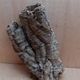 Medium Cork Tube - 40-60cm - 12