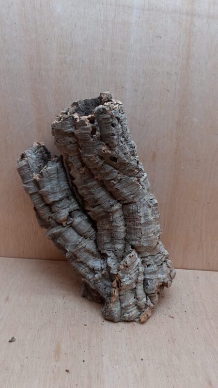 Medium Cork Tube - 40-60cm - 12