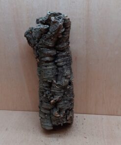 Medium Cork Tube - 40-60cm - 16