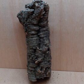 Medium Cork Tube - 40-60cm - 16