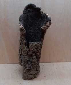 Medium Cork Tube - 40-60cm - 18