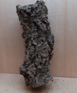 Medium Cork Tube - 40-60cm - 20