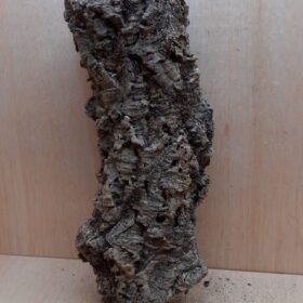 Medium Cork Tube - 40-60cm - 20