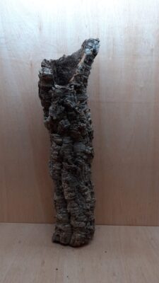 Medium Cork Tube - 60-80cm - 17