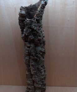 Medium Cork Tube - 60-80cm - 17