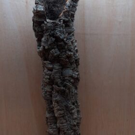 Medium Cork Tube - 60-80cm - 17