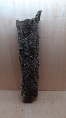 Medium Cork Tube - 60-80cm - 18
