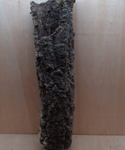 Medium Cork Tube - 60-80cm - 18