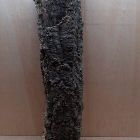 Medium Cork Tube - 60-80cm - 18