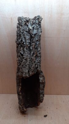 Medium Cork Tube - 60-80cm - 19