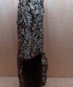 Medium Cork Tube - 60-80cm - 19