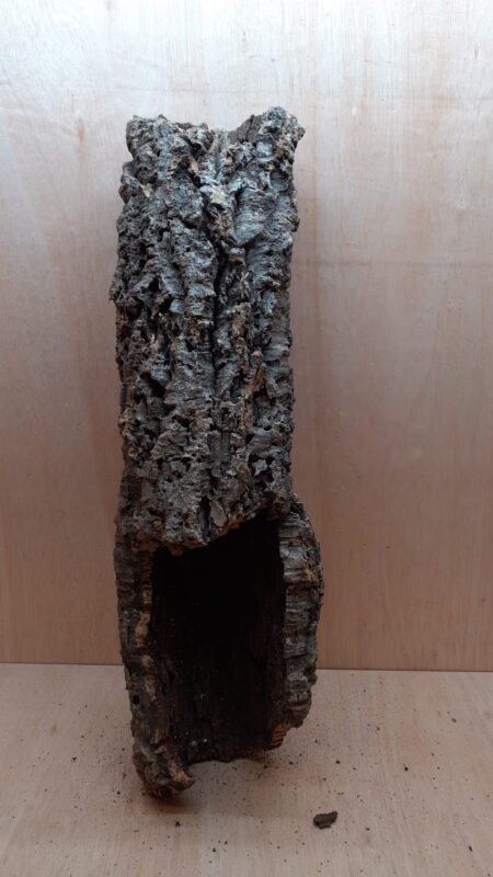 Medium Cork Tube - 60-80cm - 19