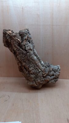 Large Cork Tube - 60-80cm - 1