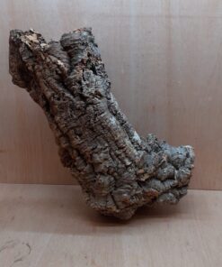 Large Cork Tube - 60-80cm - 1