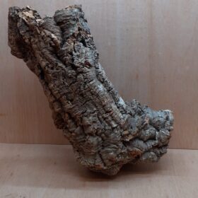 Large Cork Tube - 60-80cm - 1