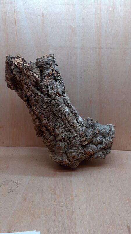 Large Cork Tube - 60-80cm - 1