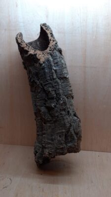 Large Cork Tube - 60-80cm - 2