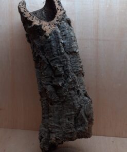 Large Cork Tube - 60-80cm - 2