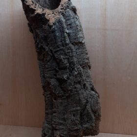 Large Cork Tube - 60-80cm - 2