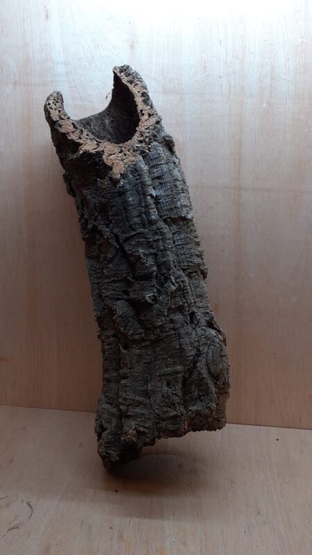 Large Cork Tube - 60-80cm - 2