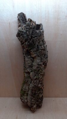 Large Cork Tube - 80-110cm - 1