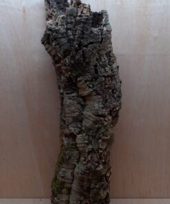 Large Cork Tube - 80-110cm - 1