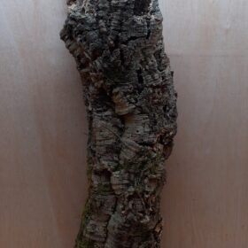 Large Cork Tube - 80-110cm - 1