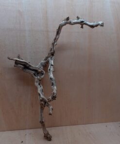 Sandblasted Grapevine - Large 12