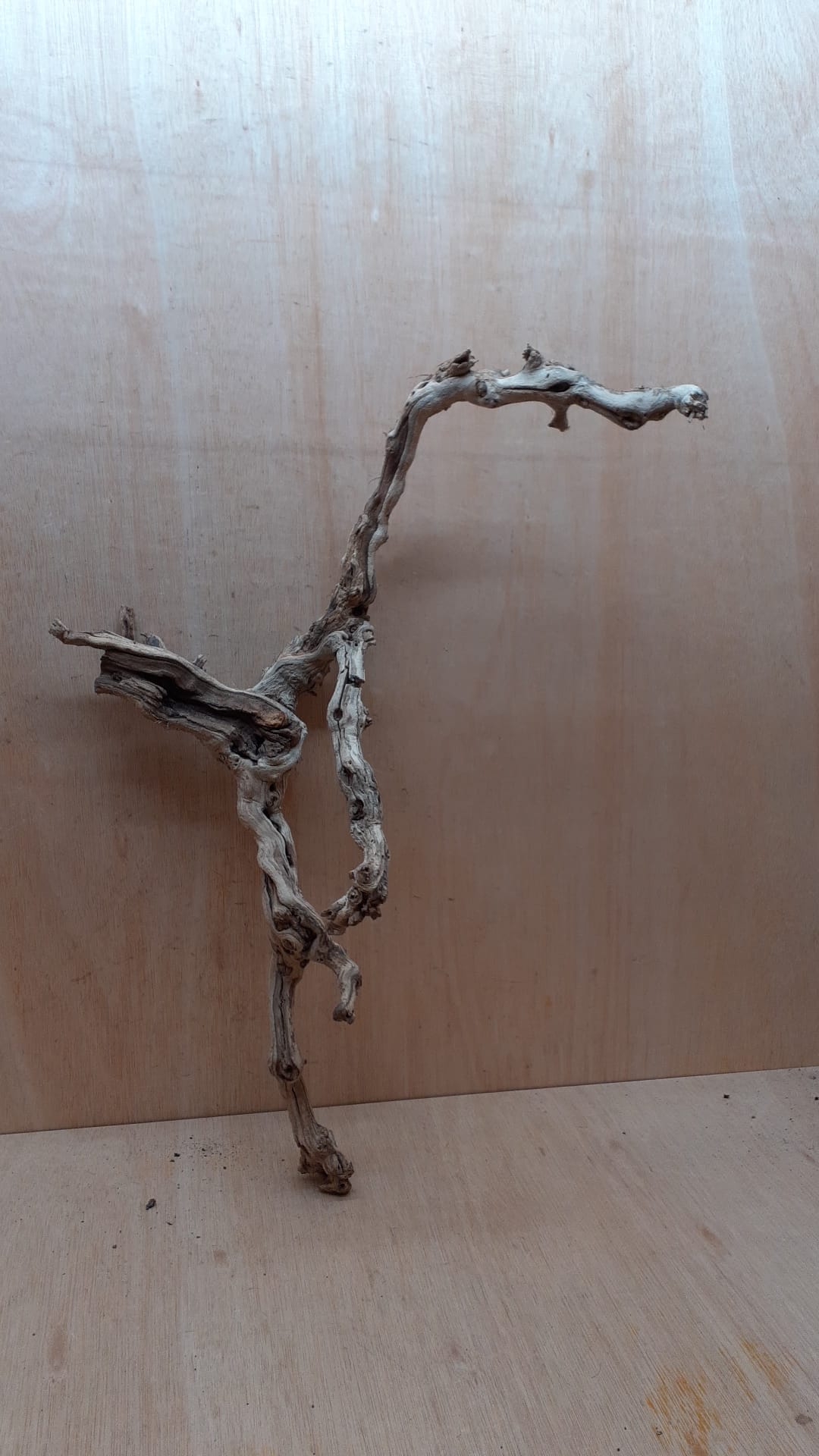 Sandblasted Grapevine - Large 12