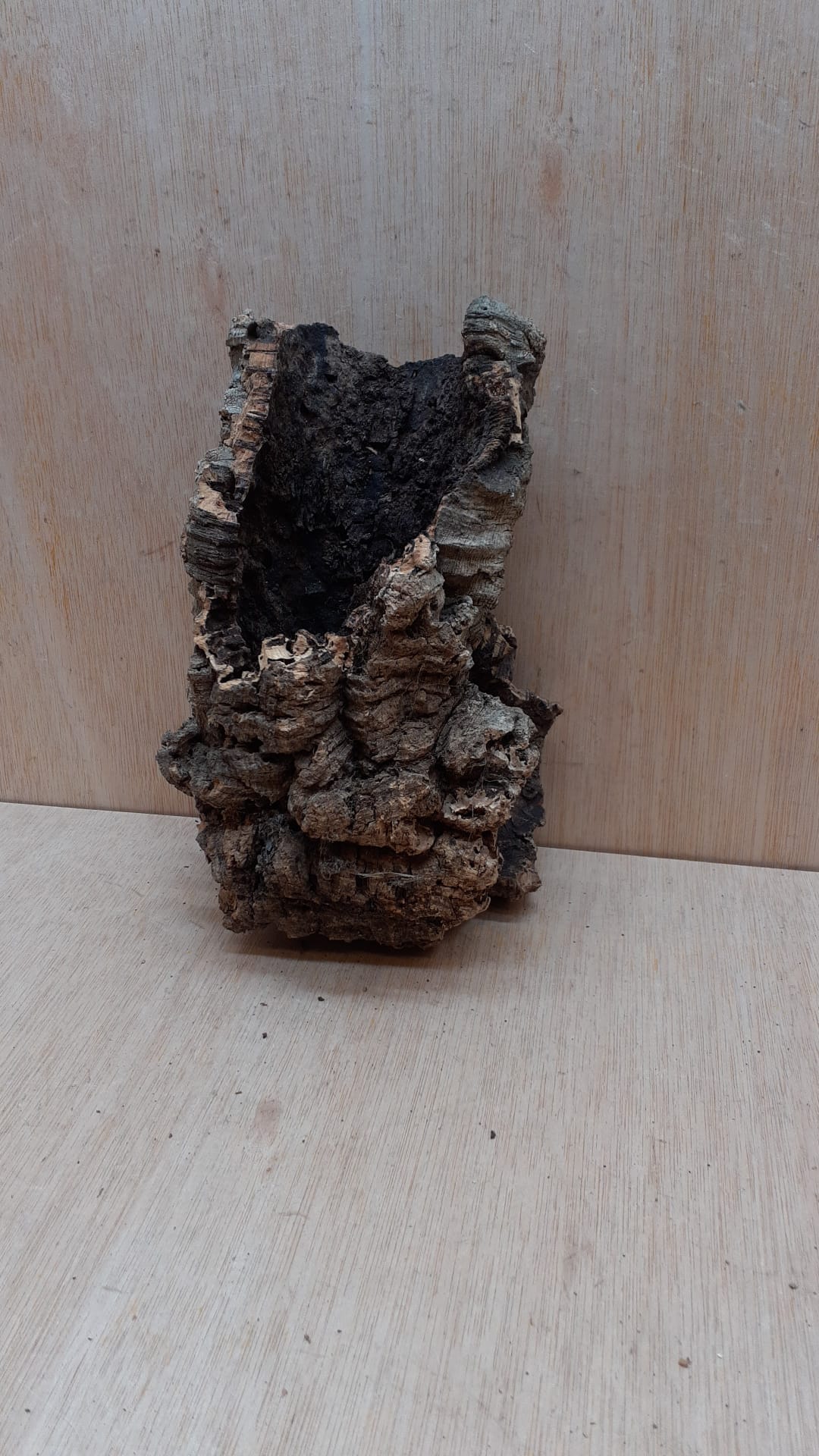 Small Cork Tube - Upto 40cm - 4