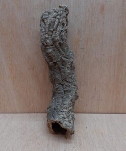 Small Cork Tube - Upto 40cm - 5