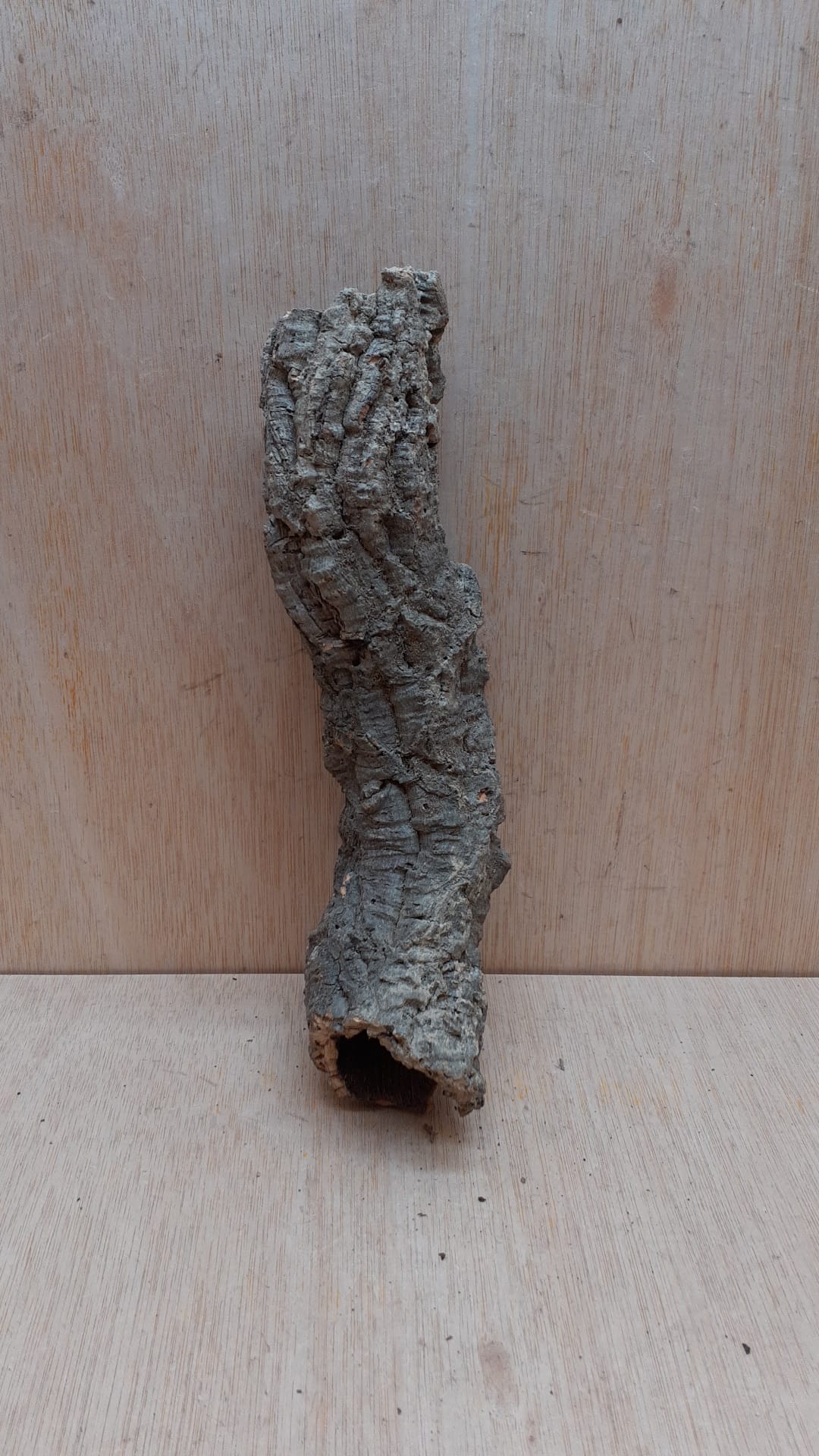 Small Cork Tube - Upto 40cm - 5