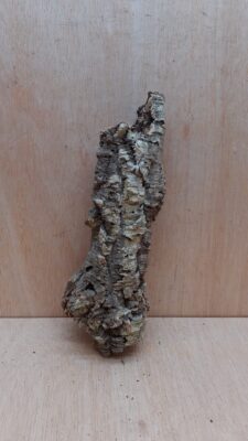 Small Cork Tube - Upto 40cm - 17