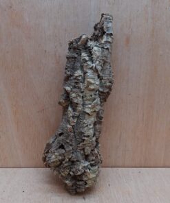 Small Cork Tube - Upto 40cm - 17