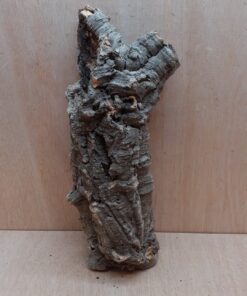 Small Cork Tube - 40-60cm - 5