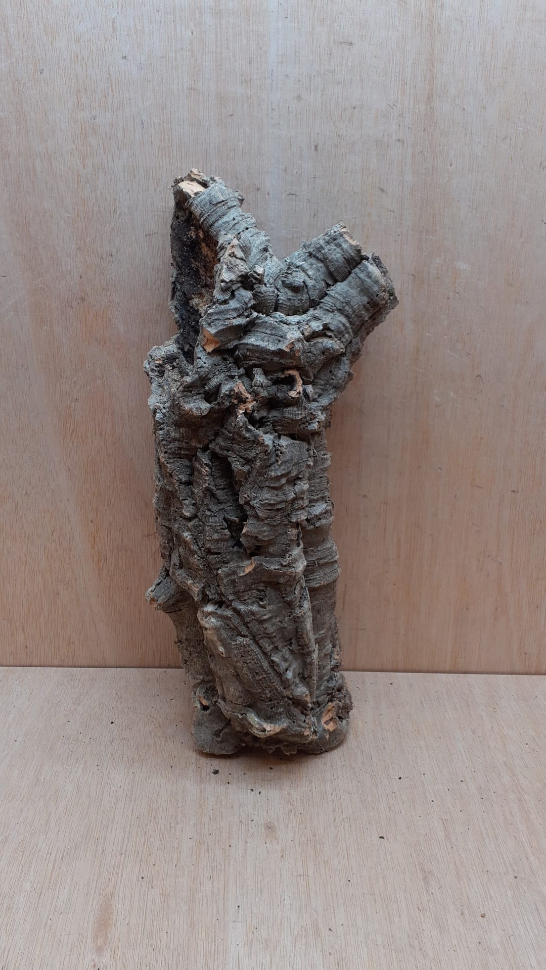 Small Cork Tube - 40-60cm - 5