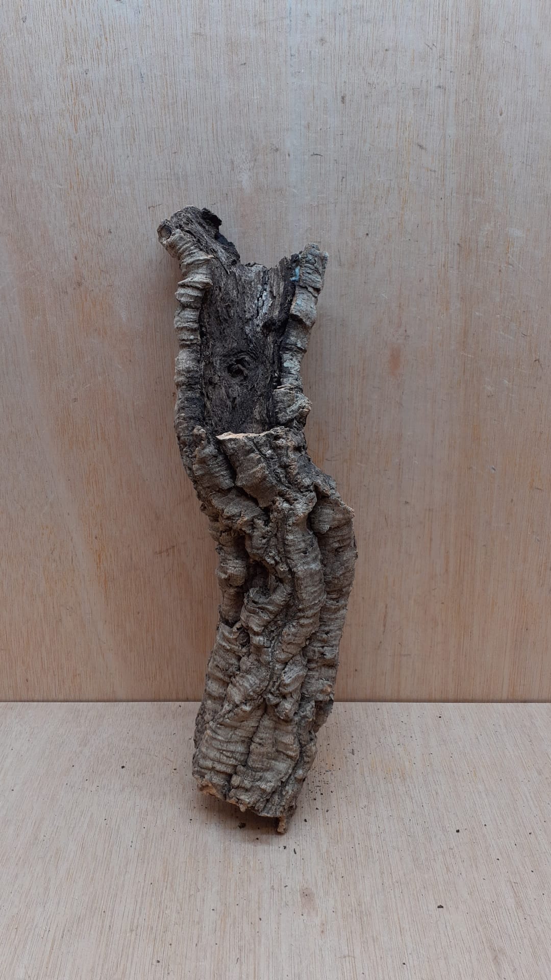 Small Cork Tube - 40-60cm - 8