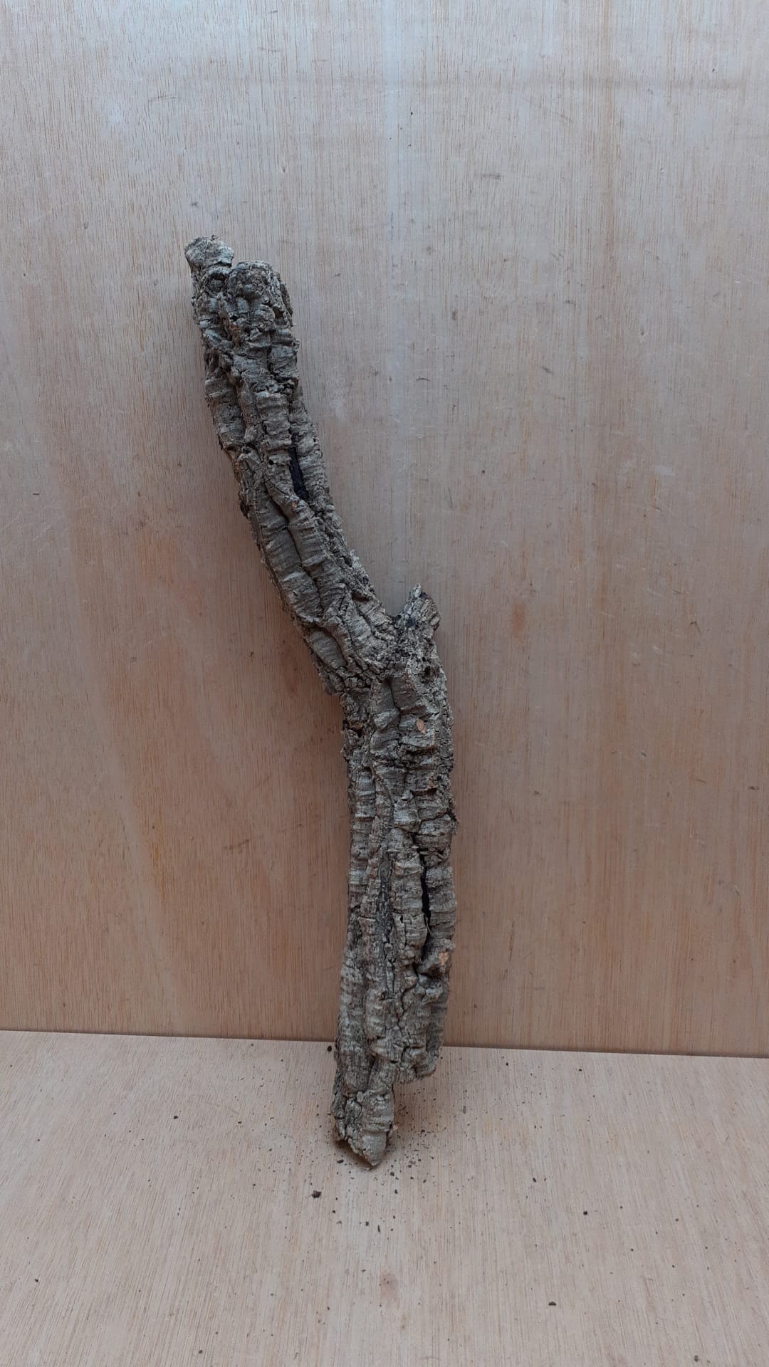 Small Cork Tube - 40-60cm - 14