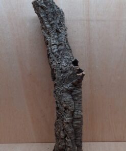 Small Cork Tube - 60-80cm - 6