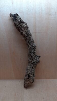 Small Cork Tube - 60-80cm - 18