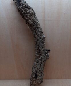Small Cork Tube - 60-80cm - 18