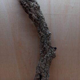 Small Cork Tube - 60-80cm - 18