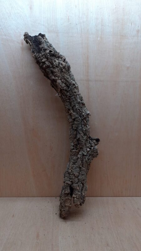 Small Cork Tube - 60-80cm - 18