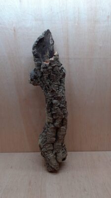 Small Cork Tube - 60-80cm - 17